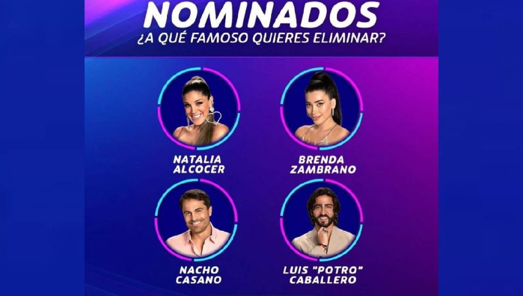 votar casa de los famosos