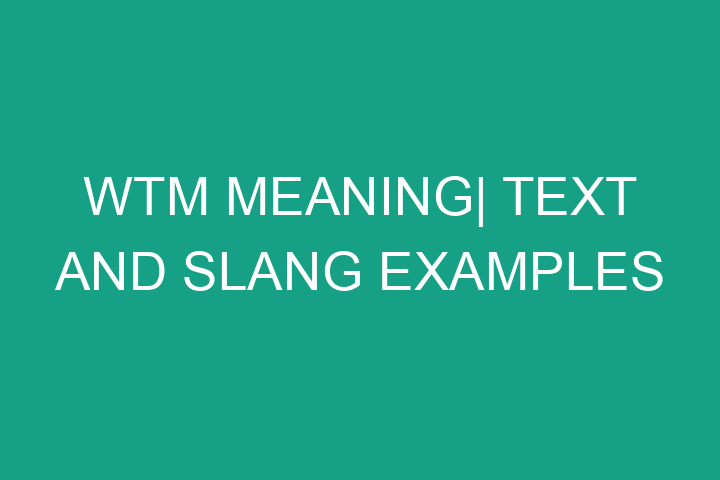 wtm meaning in text