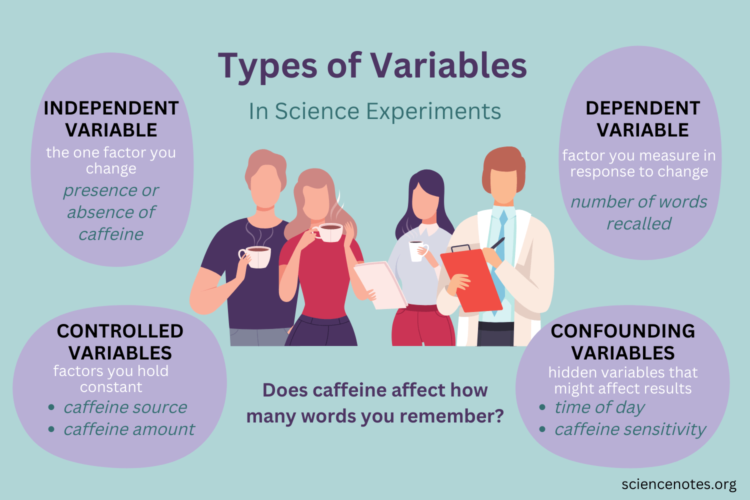 what is an independent variable